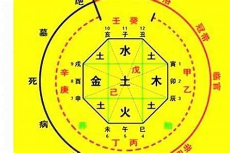 五行忌木|什么是木命人 木命人的八字喜忌